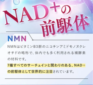 NMN10230プラスの主要成分と配合量